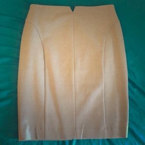Pencil skirt